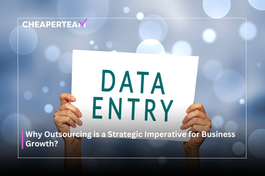 Streamlining Success How Data Entry Outsourcing Services Propel Small Businesses Forward